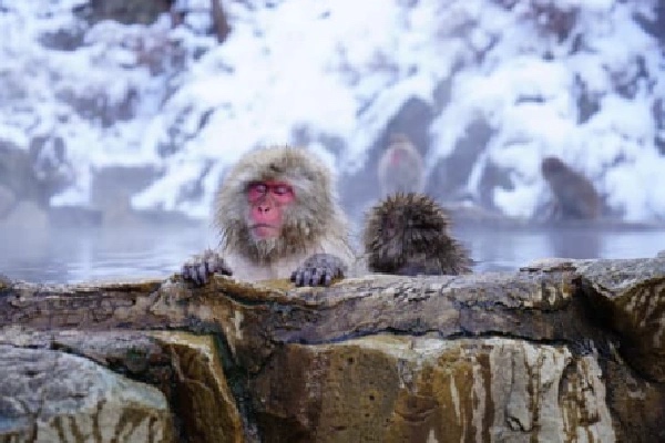What should I do before enjoying Onsen in Japan?